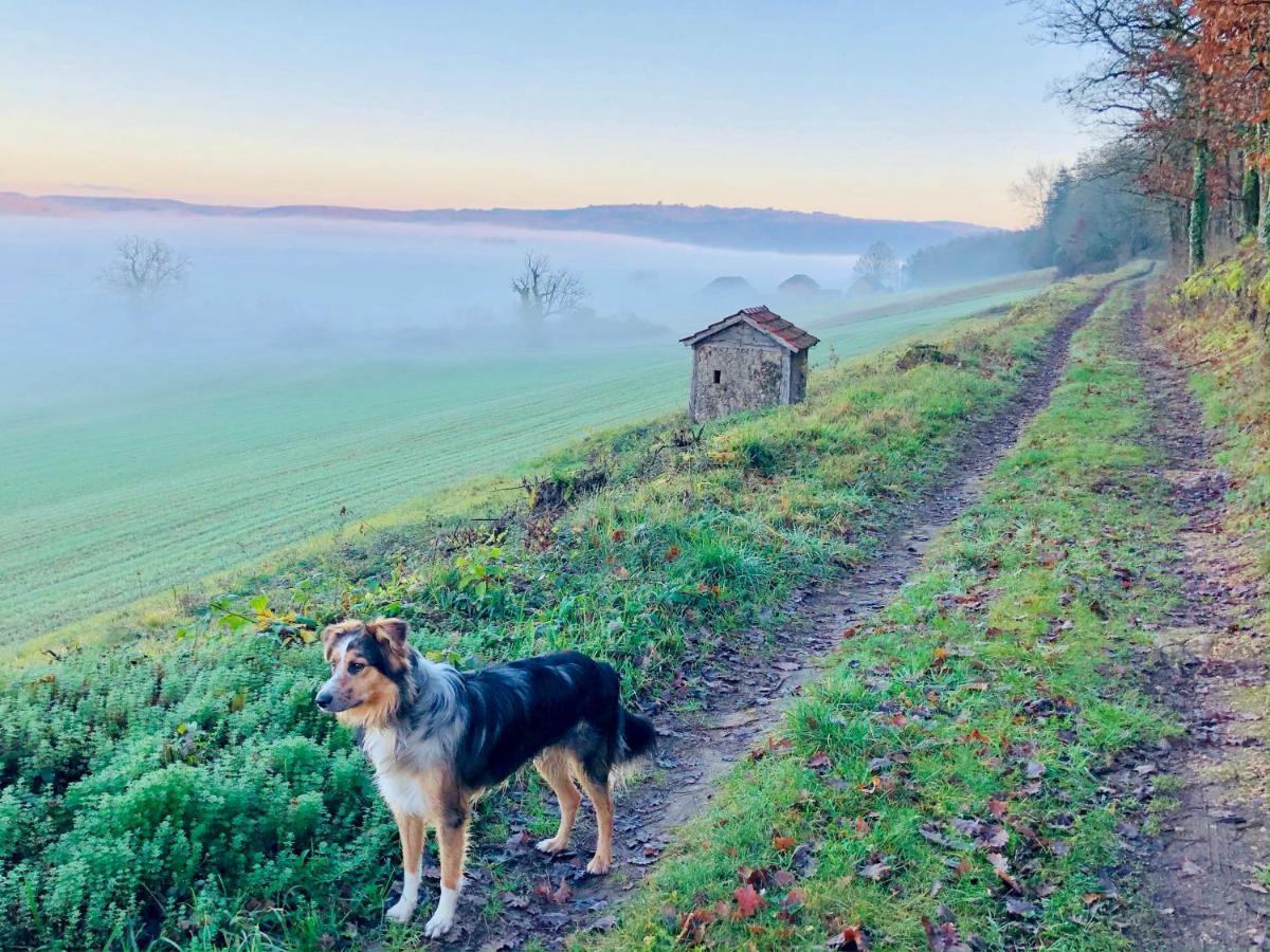 Montignac-Lascaux - Les Pierres D'Alexandre Dış mekan fotoğraf